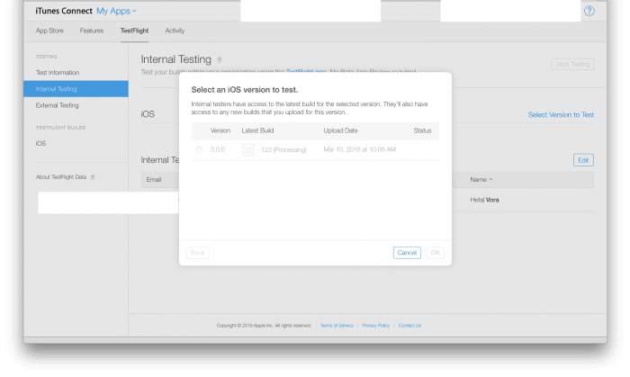 TestFlight In Processing Delay