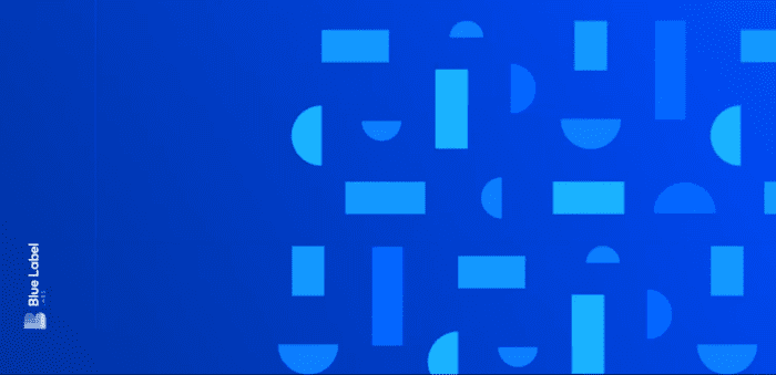 Blue Label Lab's webinar blue banner with light blue shapes