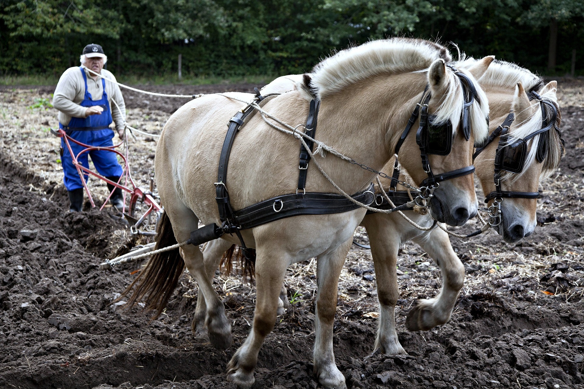 agriculture innovation